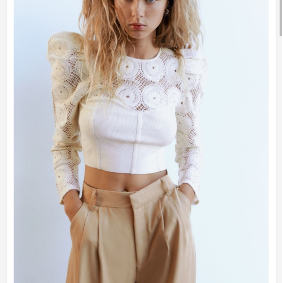 Zara NWT Bloggers Favorite Combination Knit Semi Sheer Puff Shoulder Top Small - Picture 8 of 9